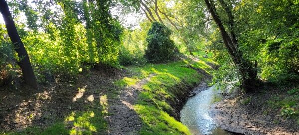 Ścieżka wśród zieleni, nad rzeką.