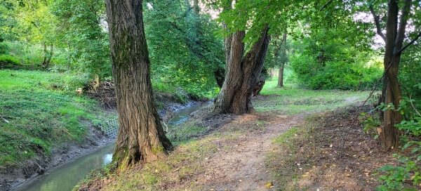 Ścieżka wśród zieleni, nad rzeką.