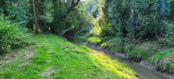 Ścieżka wśród zieleni, nad rzeką.