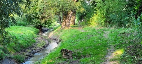 Ścieżka wśród zieleni, nad rzeką.