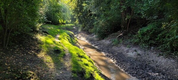 Miejsce spacerowe na rzeką wśród zieleni.