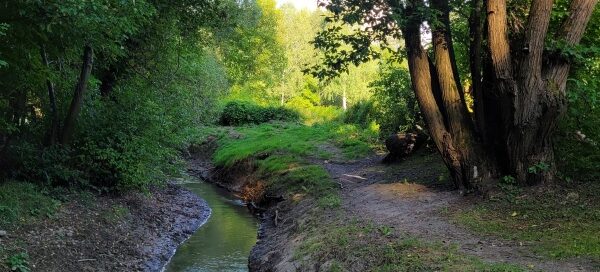 Miejsce spacerowe nad rzeką wśród drzew.