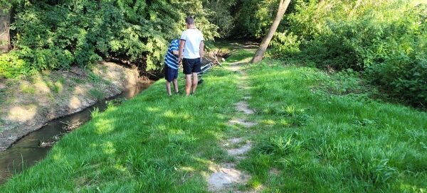 Ścieżka wśród zieleni.