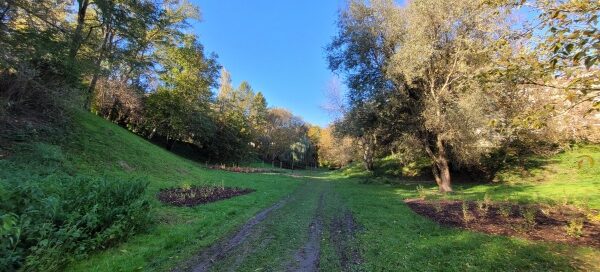 Droga prowadząca przez wąwóz.
