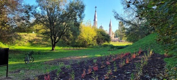 Roślinność w wąwozie.