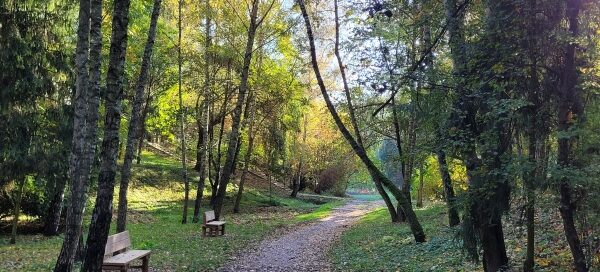 Ścieżka spacerowa wśród drzew.