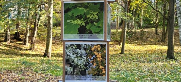 Instalacja artystyczno-edukacyjna