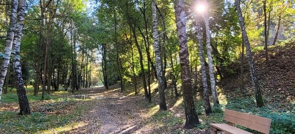 Ścieżka w wąwozie.