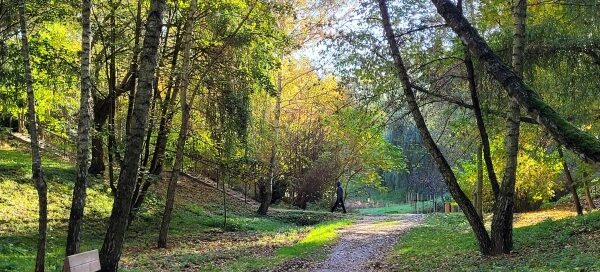 Ścieżka w wąwozie.