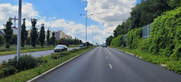 Obsadzenie pnączami ekranów akustycznych w pasach drogowych.