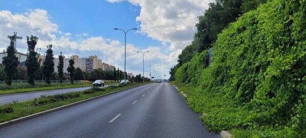 Obsadzenie pnączami ekranów akustycznych w pasach drogowych.