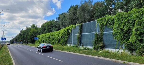 Obsadzenie pnączami ekranów akustycznych w pasach drogowych.