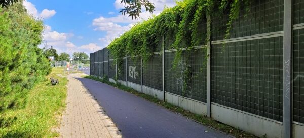 Ekrany akustyczne z pnączami obok chodnika.