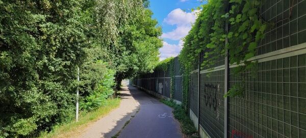 Ekrany akustyczne z pnączami, obok ulicy i chodnika.