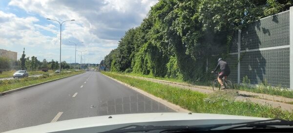 Ekrany akustyczne z pnączami.