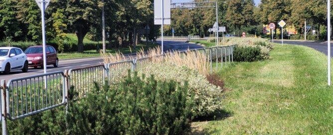 Pas roślinności z nasadzeniami między dwiema ulicami.