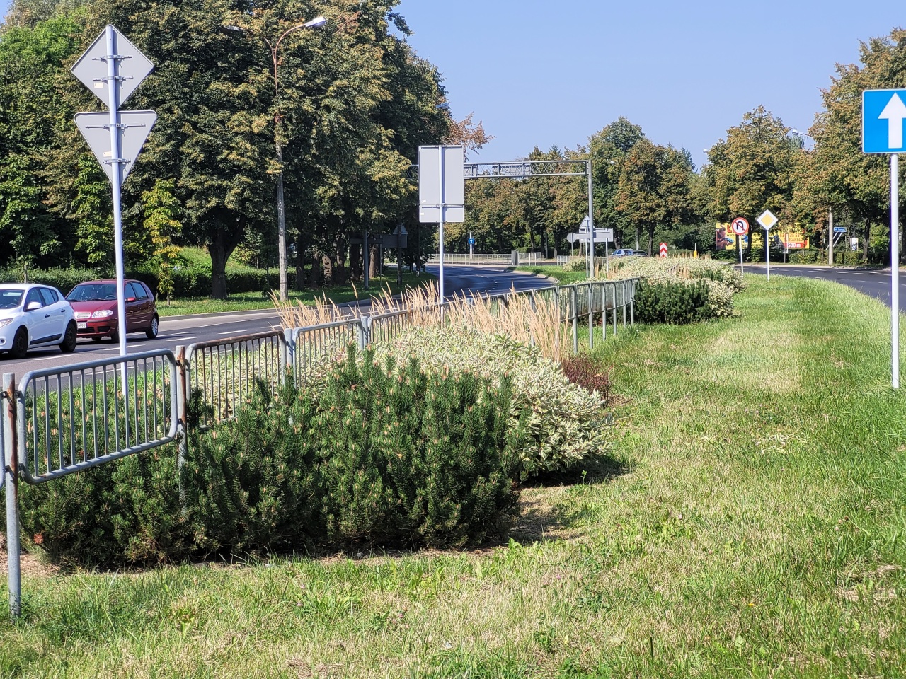 Pas roślinności z nasadzeniami między dwiema ulicami.