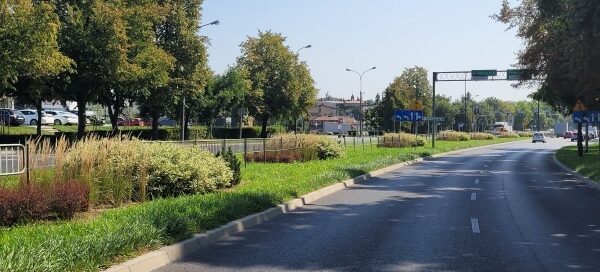 Pas roślinności z nasadzeniami obok ulicy.
