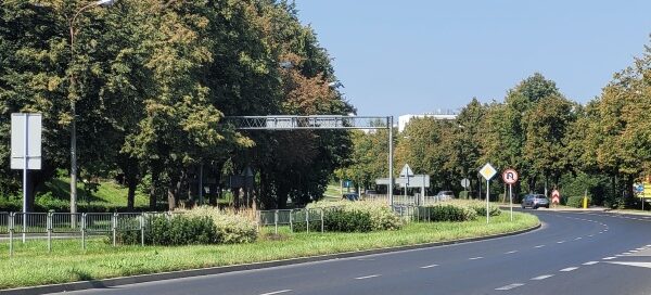 Pas roślinności z nasadzeniami obok ulicy.