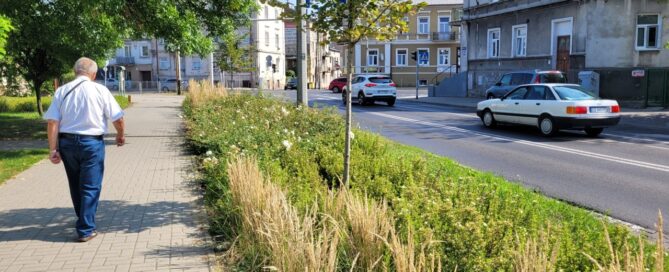 Pas roślinności pomiędzy chodnikiem a ulicą.