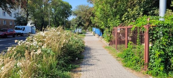 Pas roślinności obok chodnika.