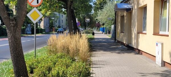 Pas roślinności pomiędzy chodnikiem a ulicą.