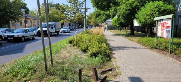 Pas roślinności pomiędzy chodnikiem a ulicą.