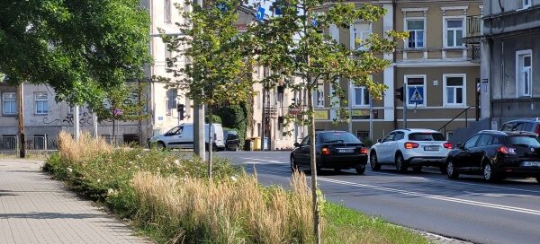 Pas roślinności pomiędzy chodnikiem a ulicą. W tle widoczne zabudowania.