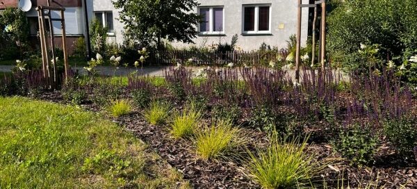 Nasadzenia krzewów.