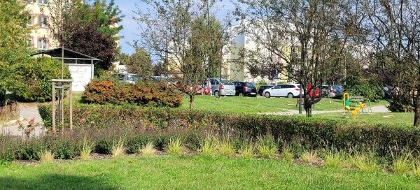 Nasadzenia krzewów.