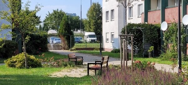 Zielony skwer przy którym stoi ławka. W tle widać blok.