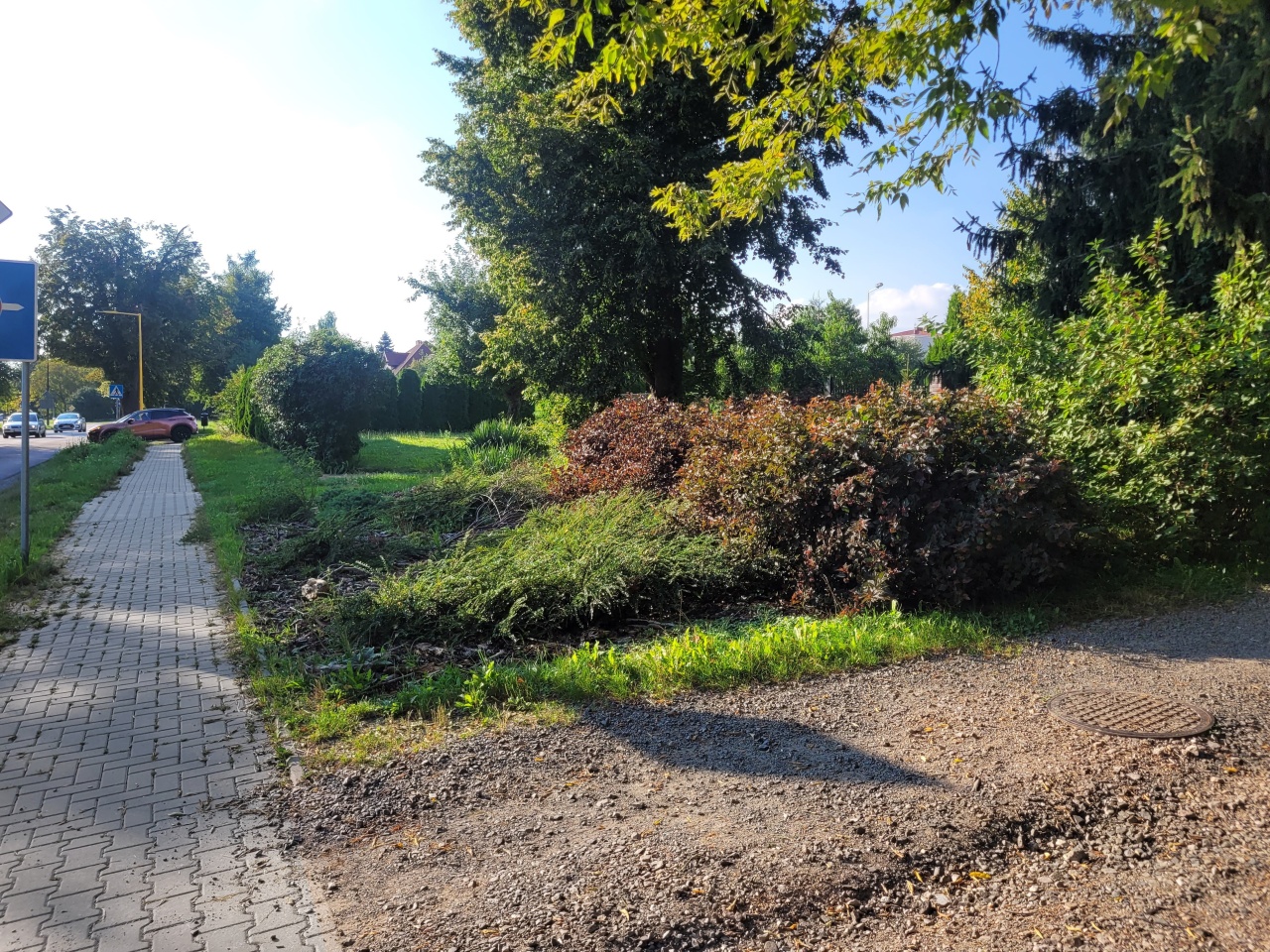 Roślinność po obu stronach chodnika.