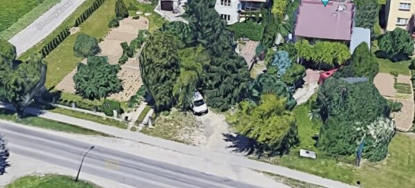 Widok z góry na ulicę i roślinność.