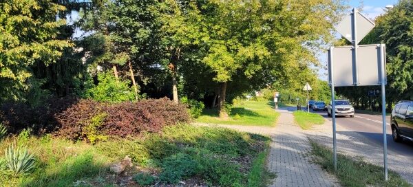 Roślinność po obu stronach chodnika.