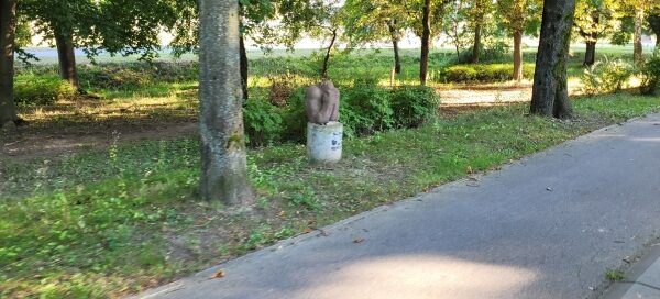 Chodnik i ścieżka rowerowa, biegnące wśród wiekowych drzew. Na trawniku ustawione Rzeźby.