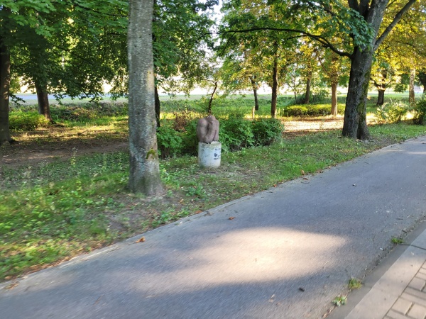 Chodnik i ścieżka rowerowa, biegnące wśród wiekowych drzew. Na trawniku ustawione Rzeźby.