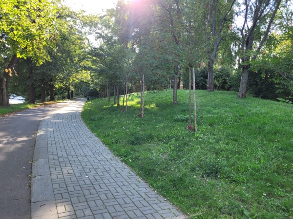 Chodnik i ścieżka rowerowa, biegnące wśród wiekowych drzew. Na trawniku ustawione Rzeźby.