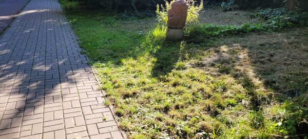 Chodnik i ścieżka rowerowa, biegnące wśród wiekowych drzew. Na trawniku ustawione Rzeźby.