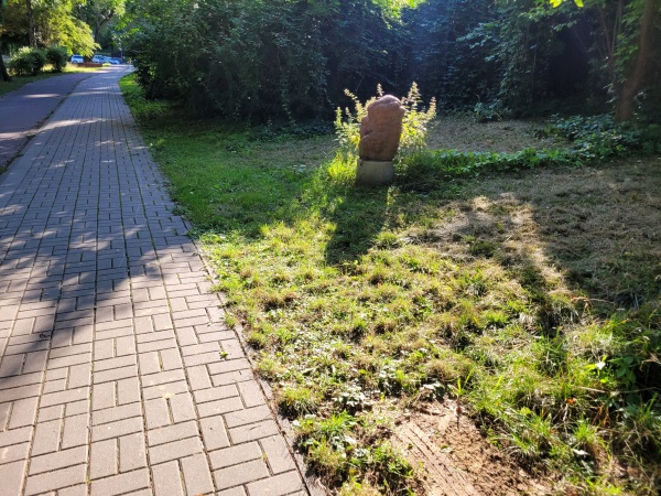 Chodnik i ścieżka rowerowa, biegnące wśród wiekowych drzew. Na trawniku ustawione Rzeźby.