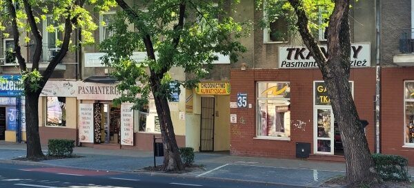 Drzewa i krzewy oddzielające miejsca parkingowe.