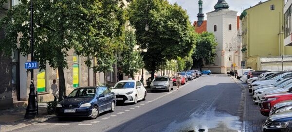 Drzewa i żywopłot, odzielające chodnik od ulicy, w centrum miasta.