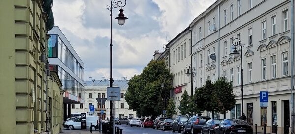 Drzewa i żywopłot, odzielające chodnik od ulicy, w centrum miasta.
