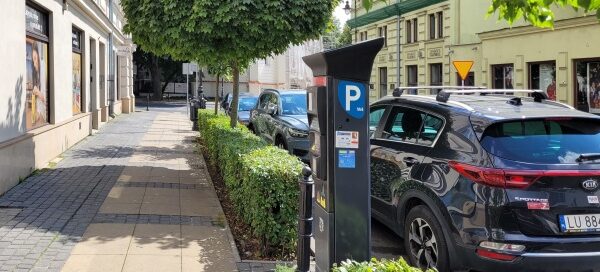 Drzewa i żywopłot, odzielające chodnik od ulicy, w centrum miasta.