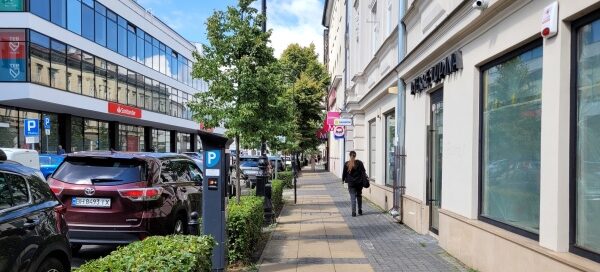 Drzewa i żywopłot, odzielające chodnik od ulicy, w centrum miasta.