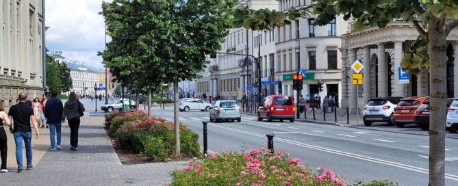 Drzewa i krzewy oddzielające chodnik od ulicy w centrum miasta.