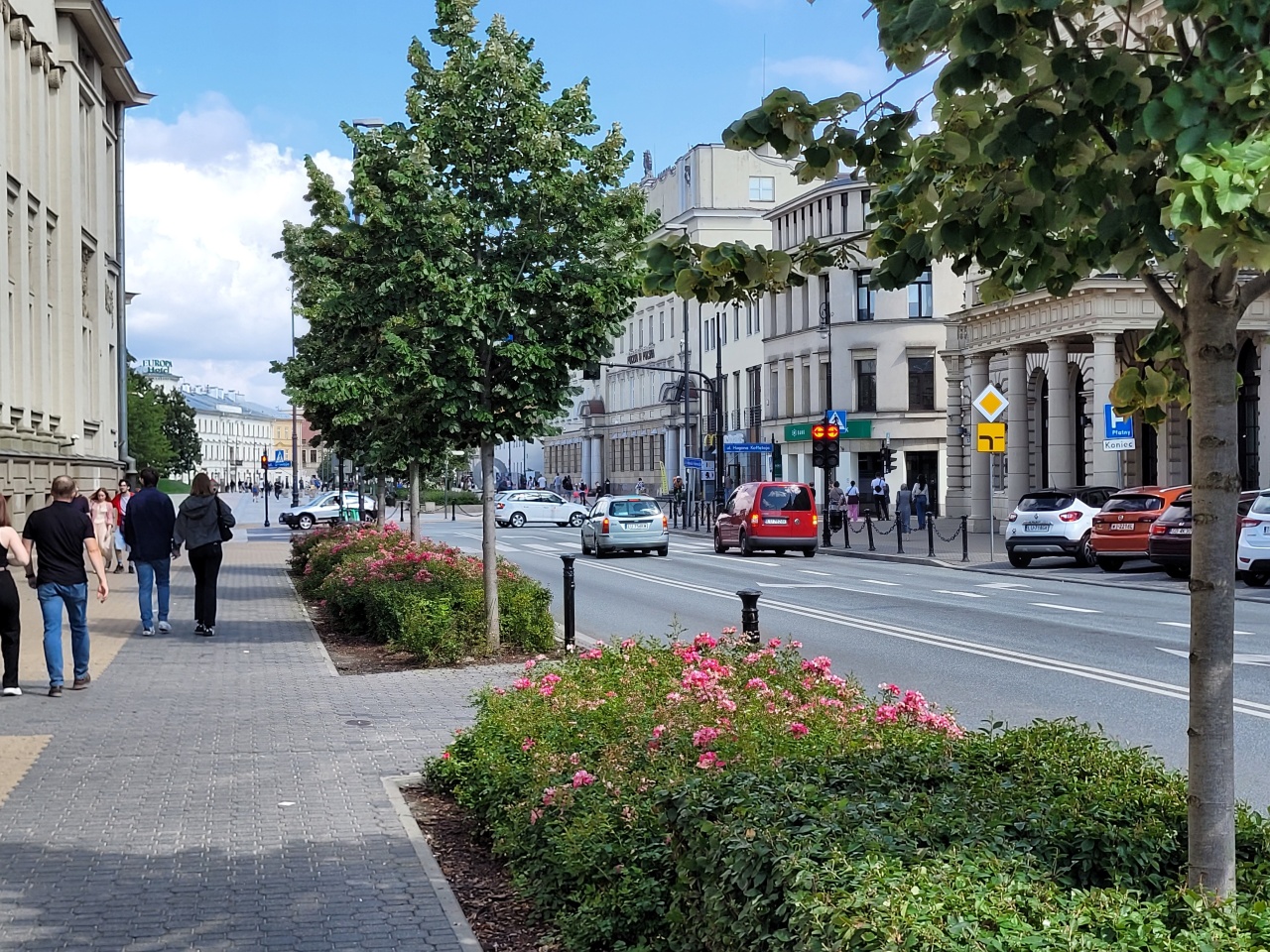 Drzewa i krzewy oddzielające chodnik od ulicy w centrum miasta.
