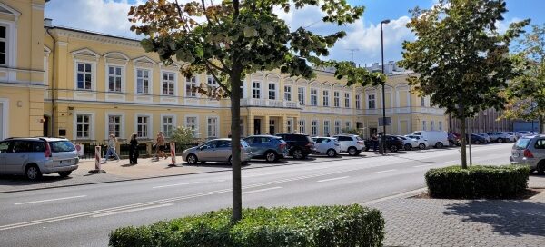 Drzewa i krzewy oddzielające chodnik od ulicy w centrum miasta.