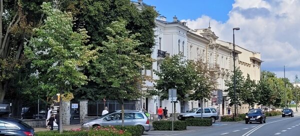 Drzewa i krzewy oddzielające chodnik od ulicy w centrum miasta.