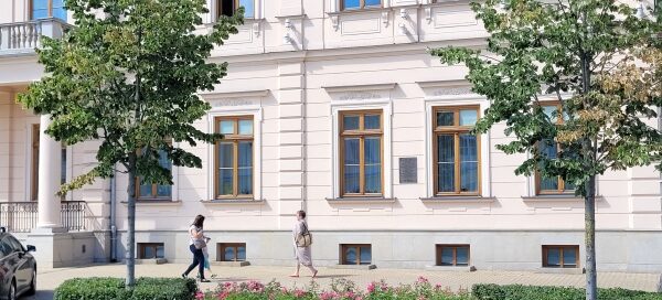 Drzewa i krzewy oddzielające chodnik od ulicy w centrum miasta.