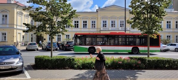Drzewa i krzewy oddzielające chodnik od ulicy w centrum miasta.